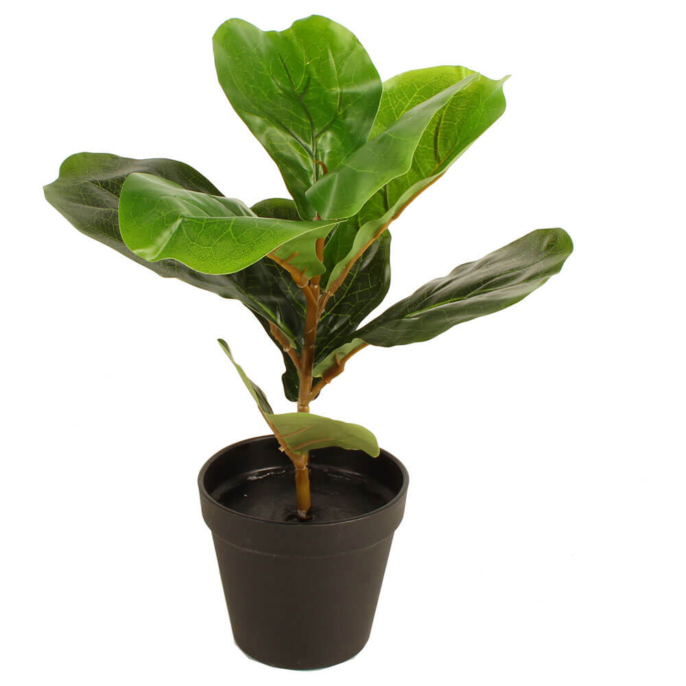 Potted Faux Fiddle Leaf