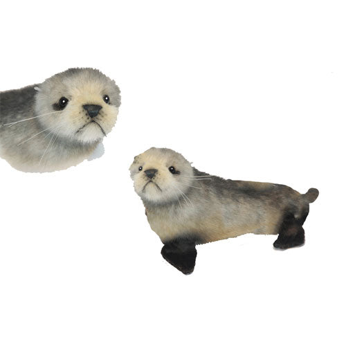 Fur Australian Seal Pup Plush Toy 26cm
