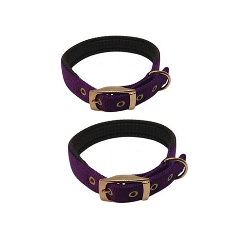 Nylon Padded Collar (Purple)
