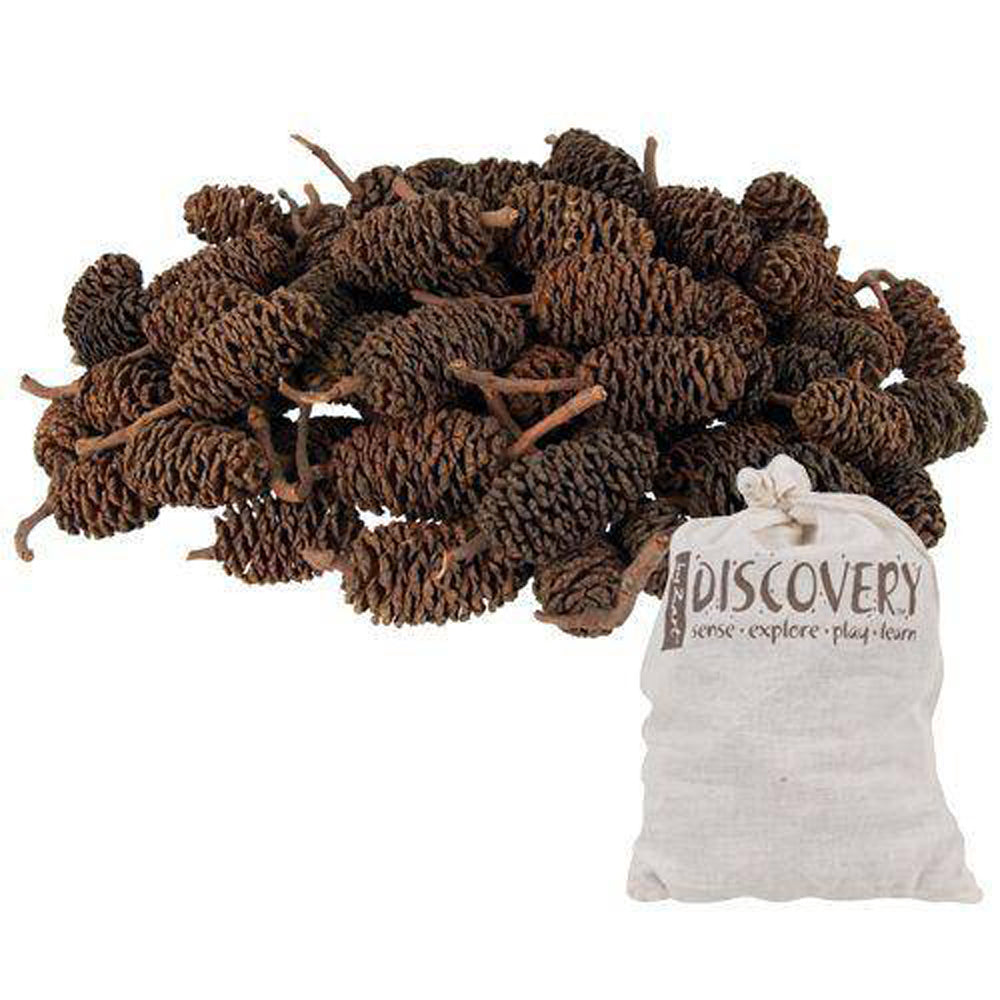 Creative School Supply Bud Cones 220g