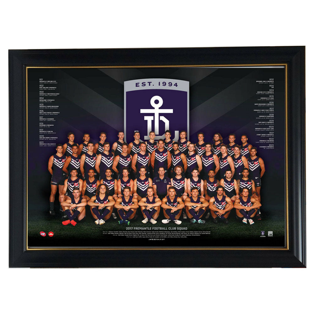 AFL 2017 Team Poster