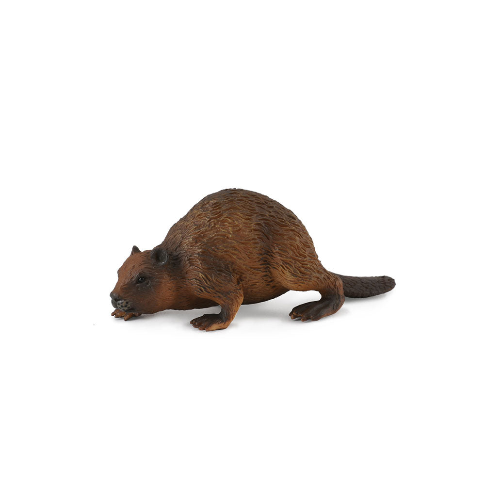 CollectA Beaver Figure (Medium)