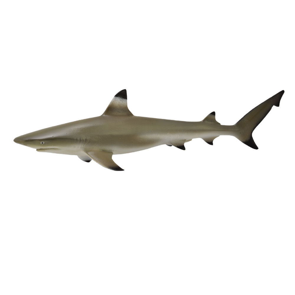CollectA Blacktip Reef Shark Figure (Medium)