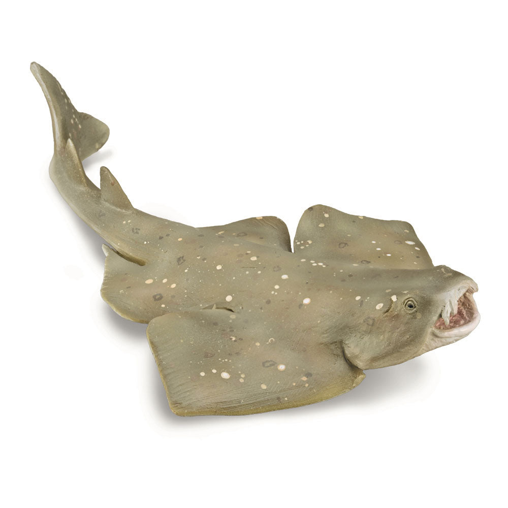 CollectA Angel Shark Figure (Medium)