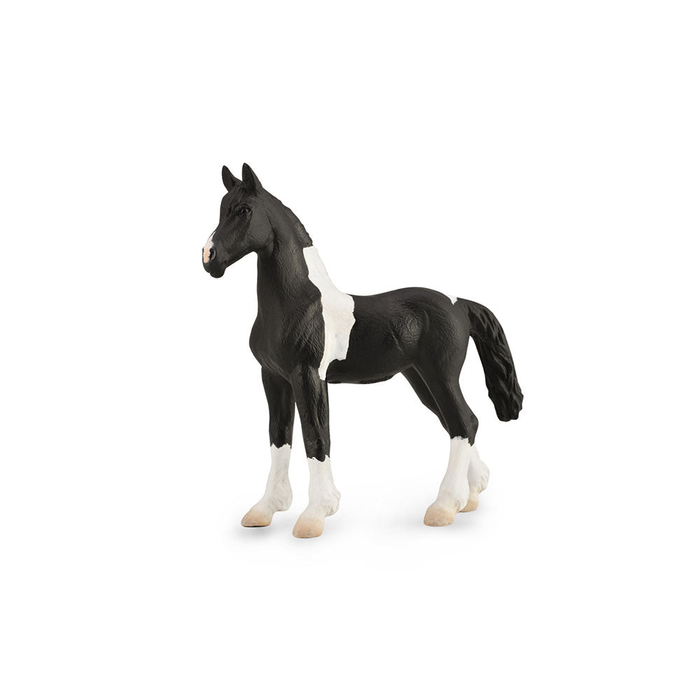 CollectA Barock Pinto Foal Figure (Medium)