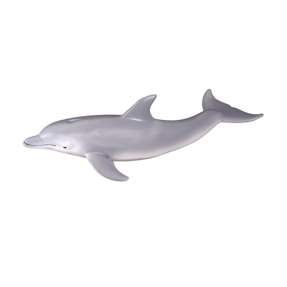 CollectA Bottlenose Dolphin Figure (Medium)