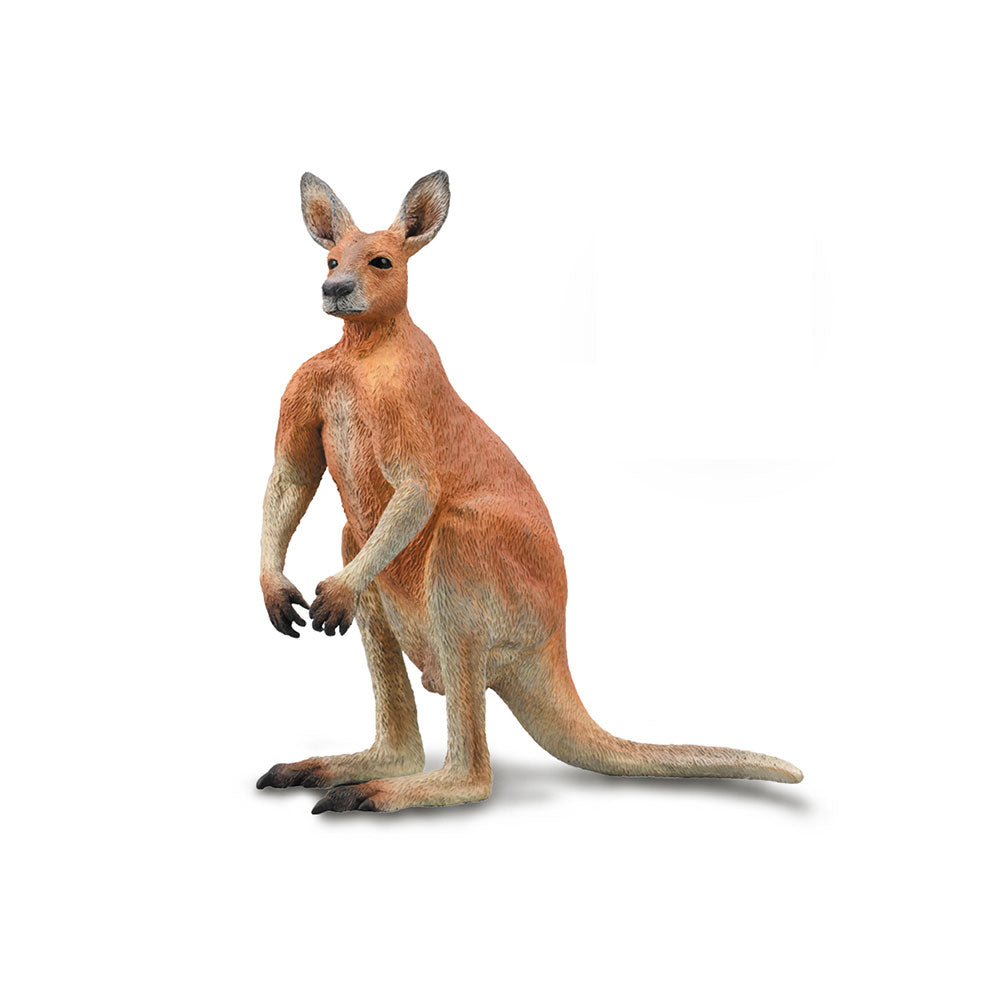 Collecta Red Kangaroo(大)