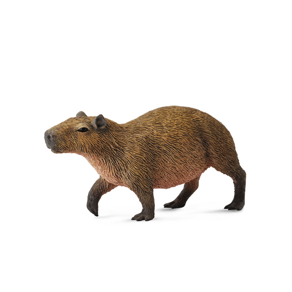 CollectA Capybara Figure (Medium)