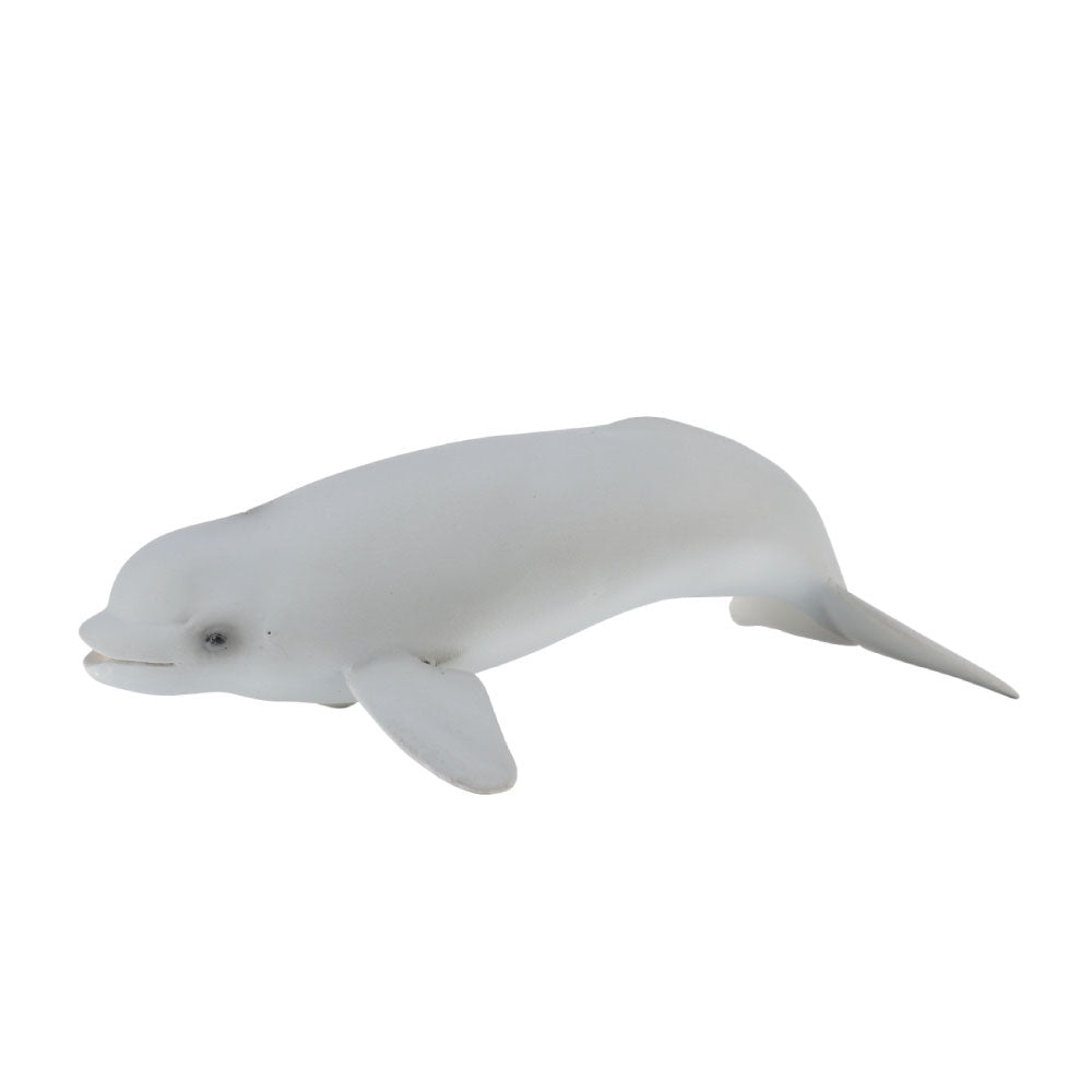 CollectA Beluga Whale Calf Figure (Medium)