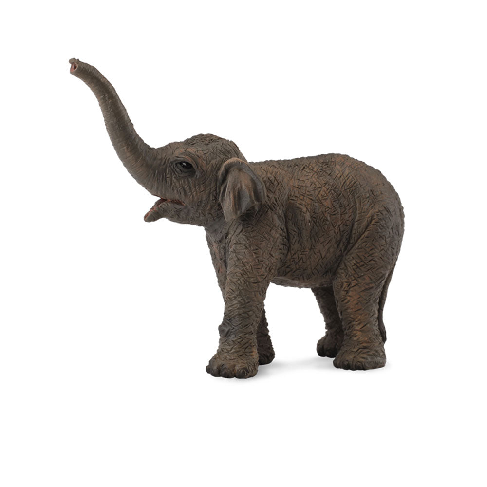 CollectA Asian Elephant Calf Figure (Small)