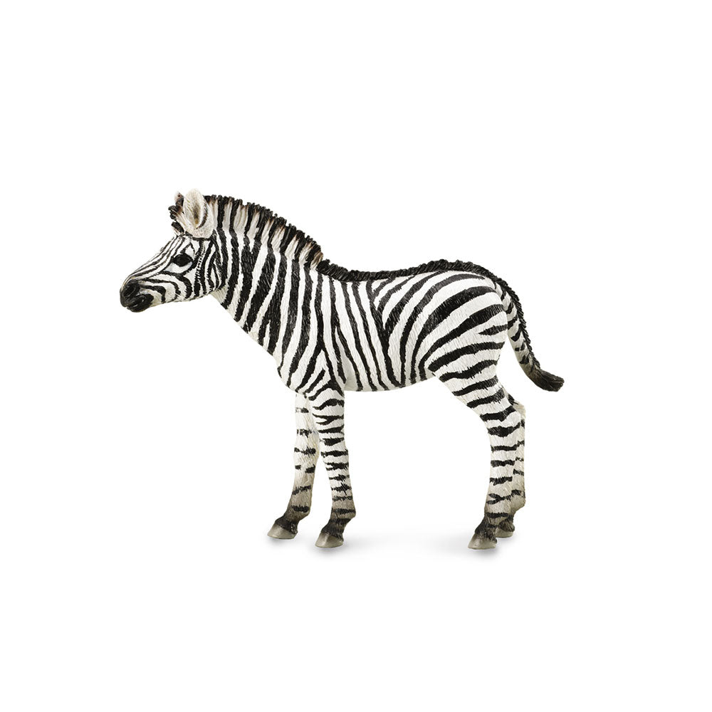 CollectA Zebra Foal Figure (Medium)