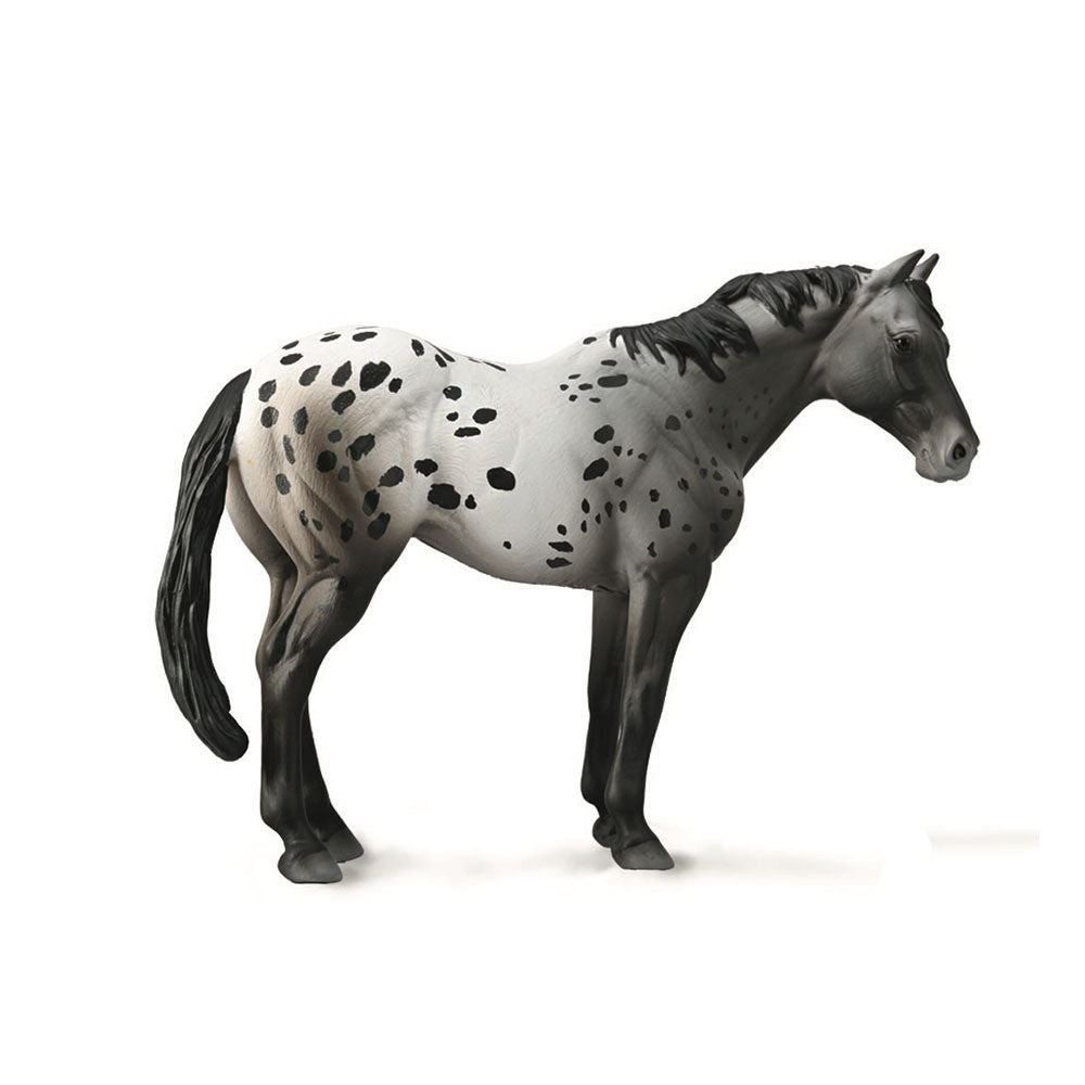 CollectA Appaloosa Stallion Figure (XL)