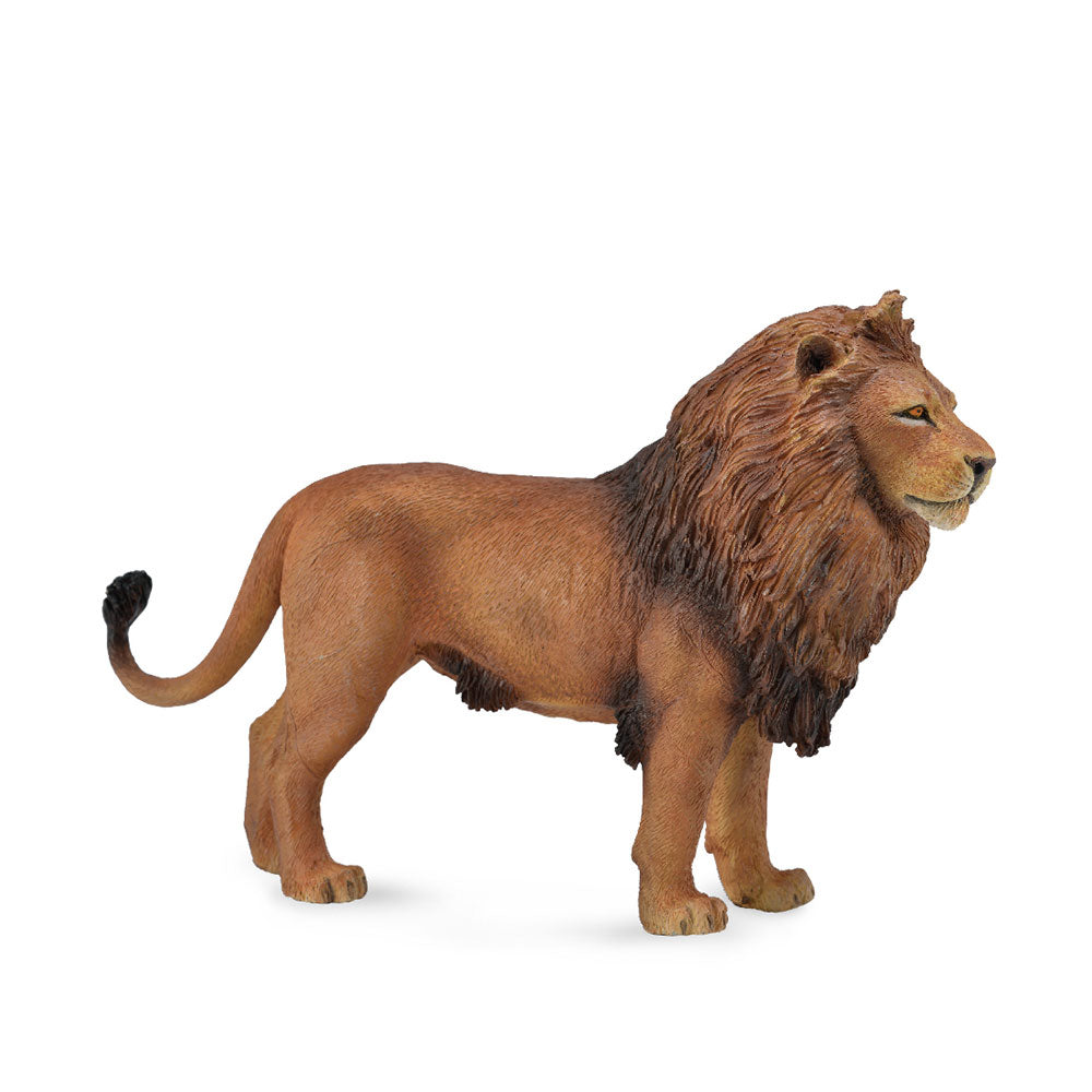 CollectA African Lion Figure (Large)