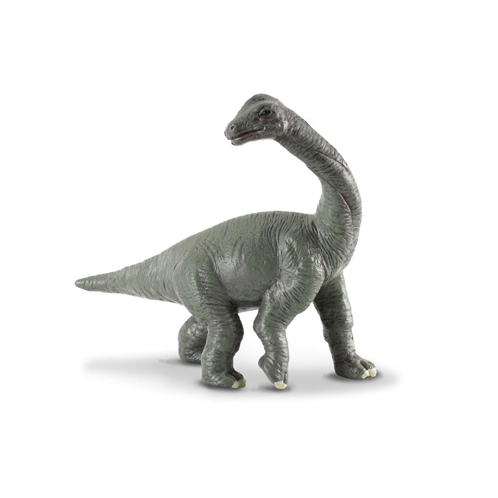 CollectA Baby Brachiosaurus Dinosaur Figure (Small)