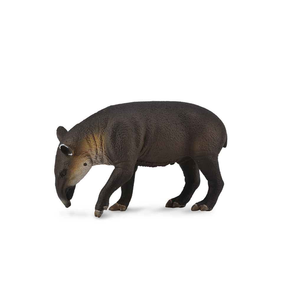 CollectA Bairds Tapir Figure (Large)