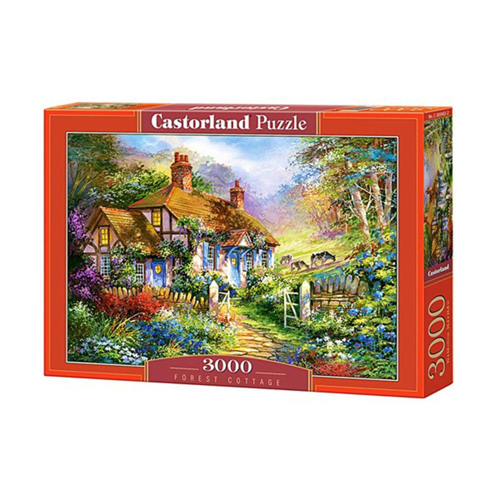Castorland Classic Puzzle 3000pcs