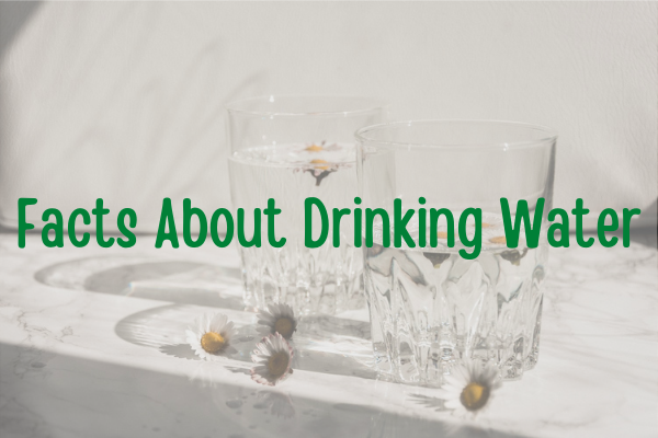 Facts About Drinking Water