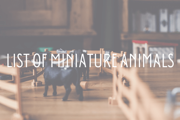 List of Miniature Animals