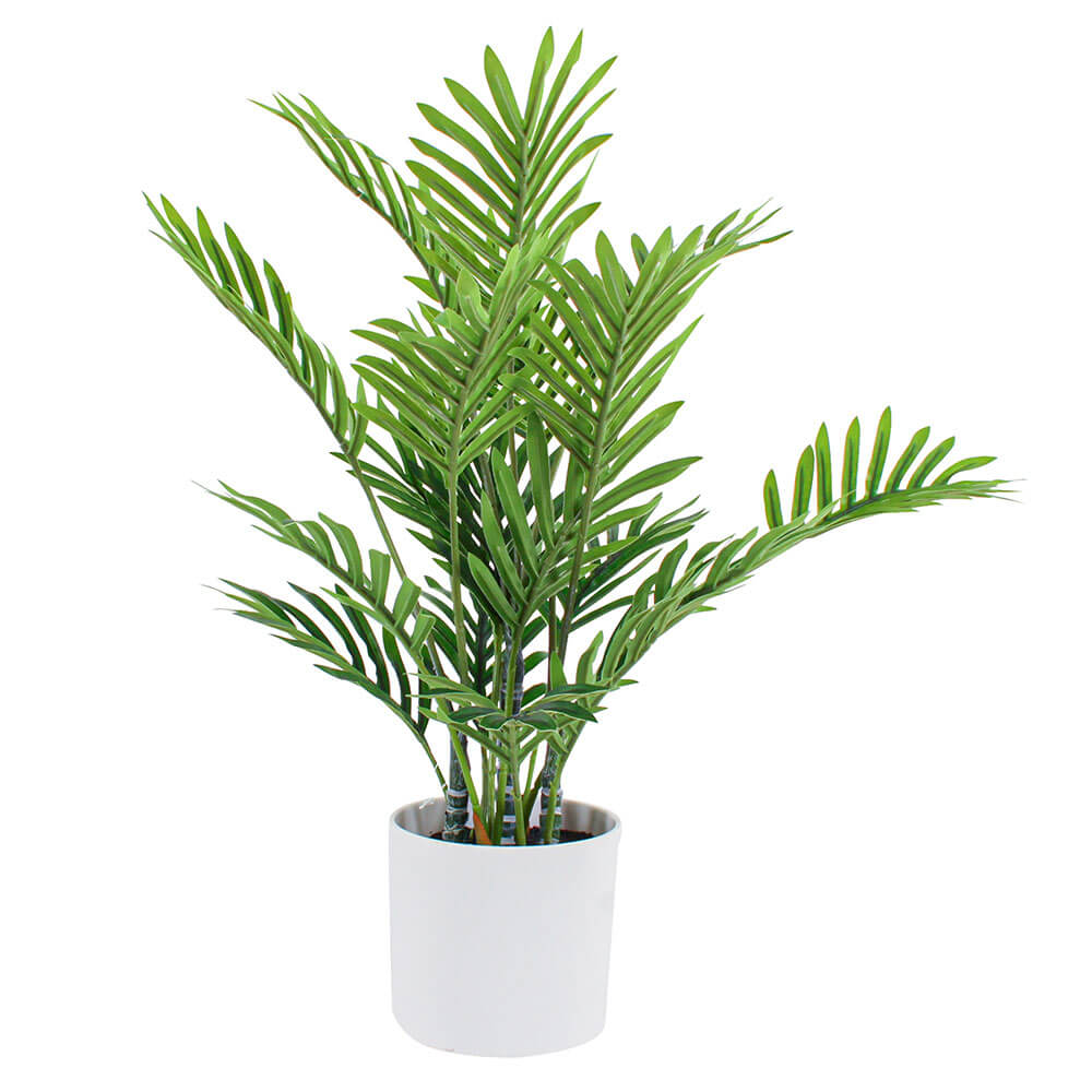 Mini Palm Real Touch in White Pot 40cm