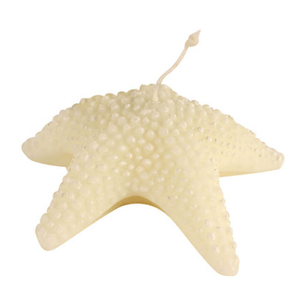 Hamptons Seashell Unscented Candle Decoration (13x12.5x4cm)