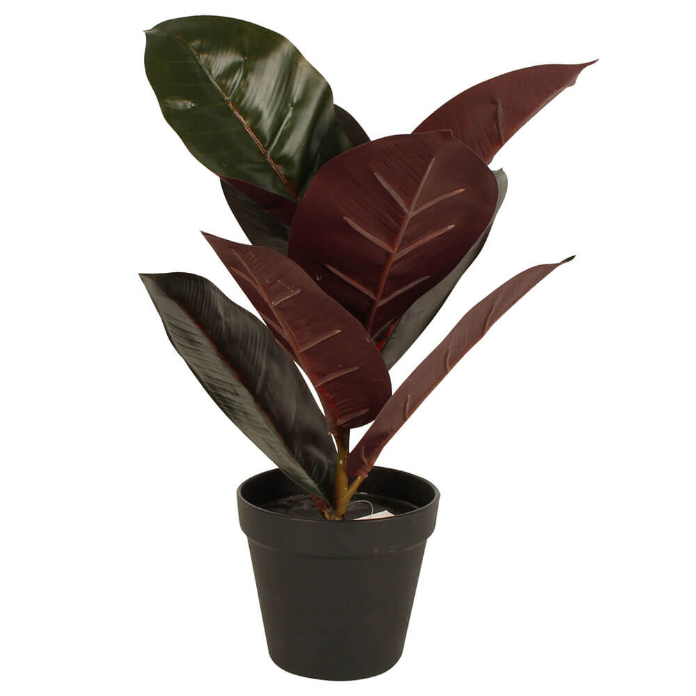 Potted Artificial Burgundy Rubber Plant 36cm