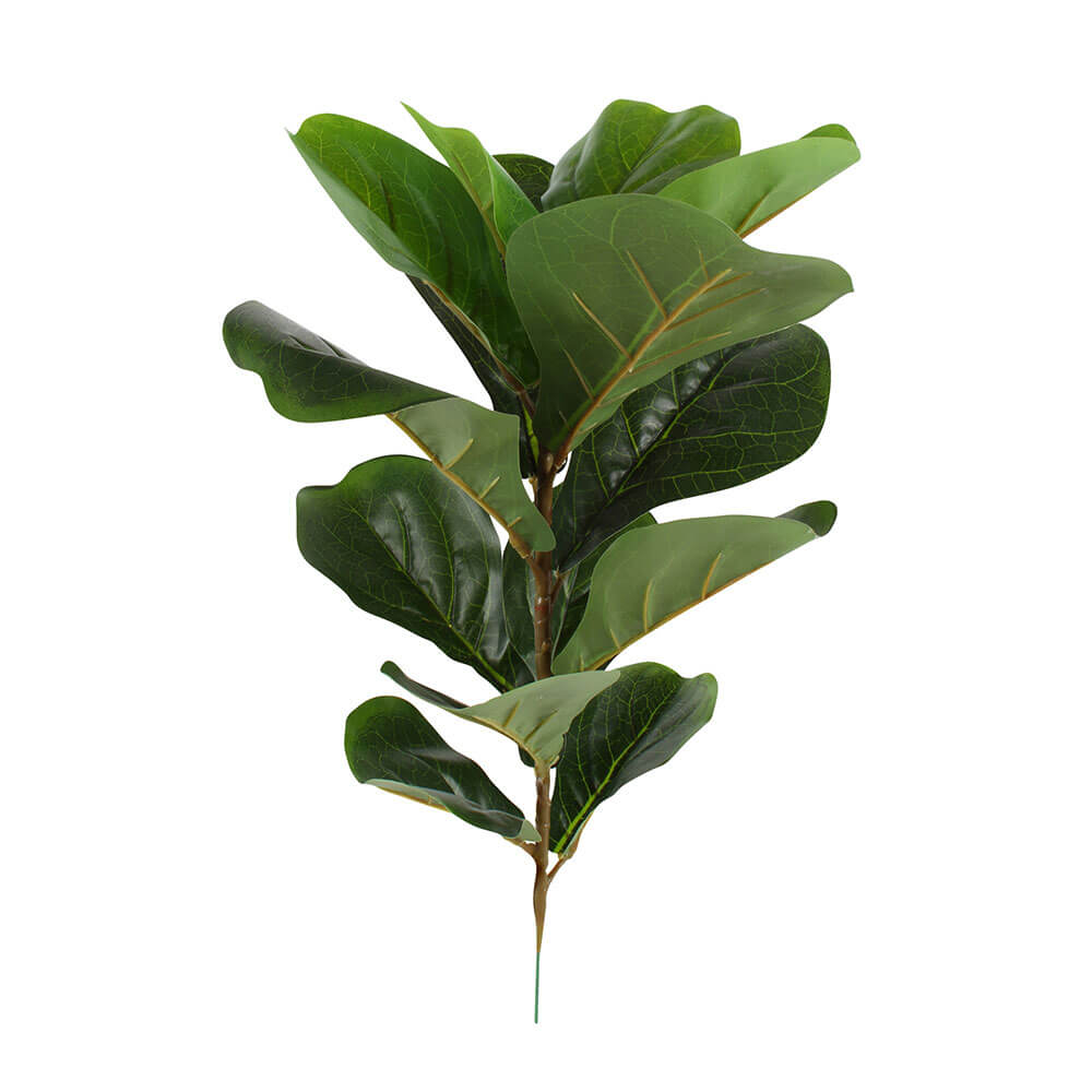 Kai Fiddle Leaf Branch 45cm