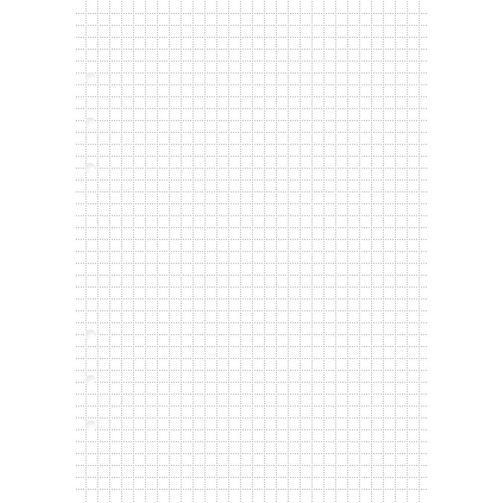 Filofax A5 Clipbook Refill 25pk