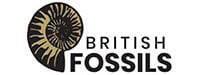 イギリスの化石
