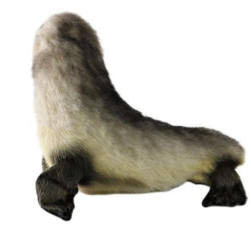 Fur Australian Seal Pup Plush Toy 26cm