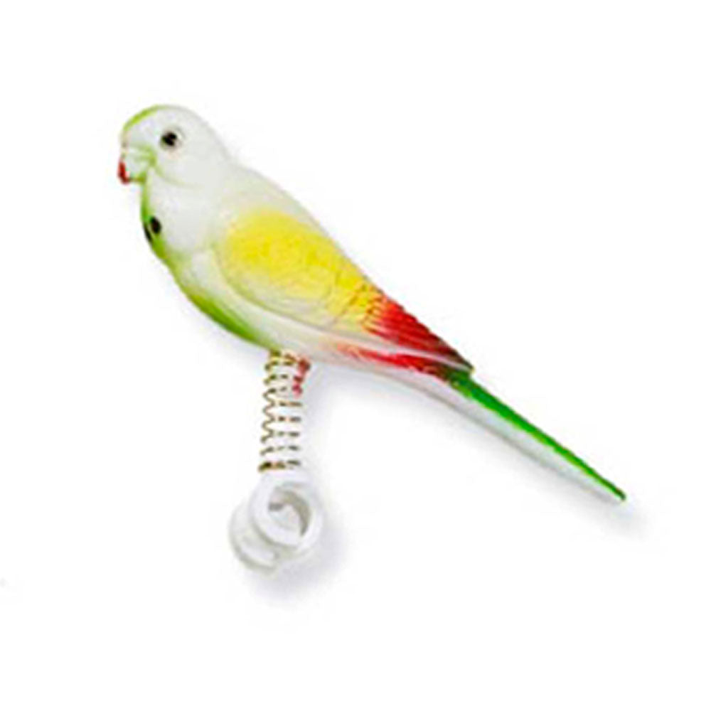 Bird on Spring Toy