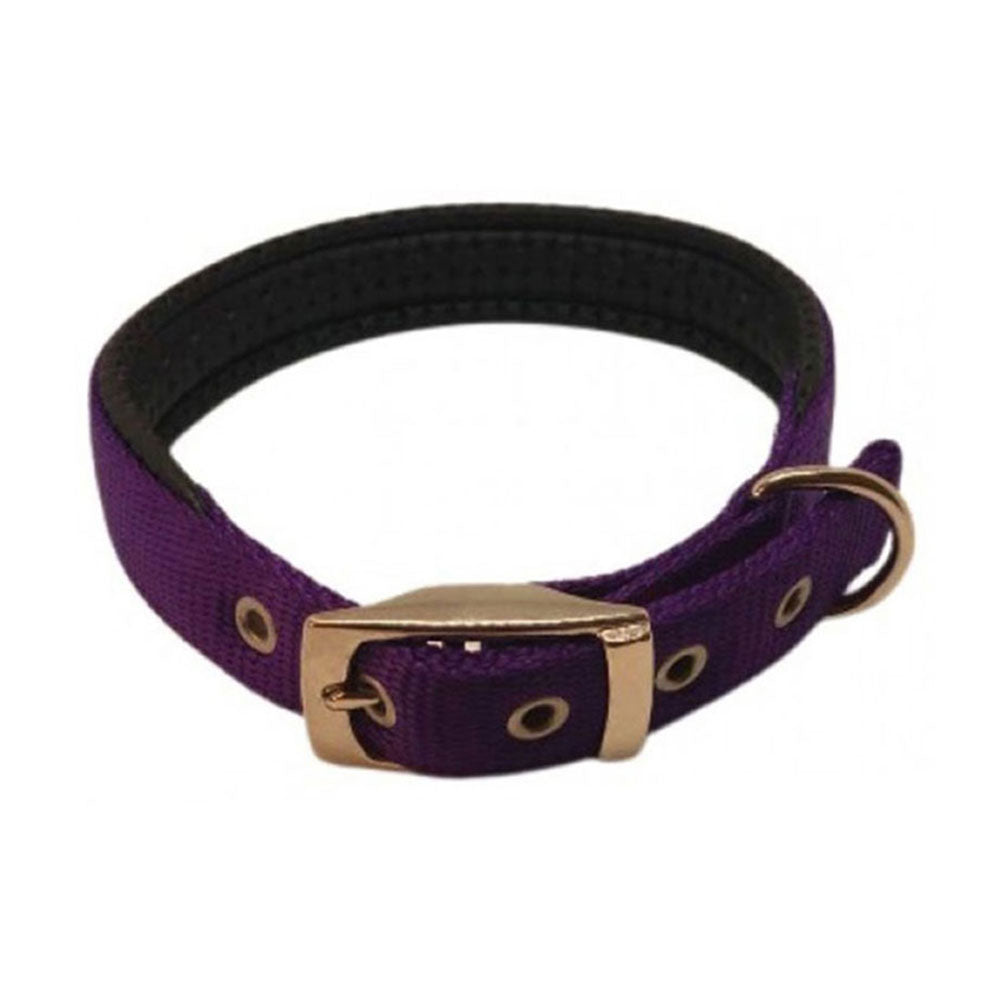 Nylon Padded Collar (Purple)