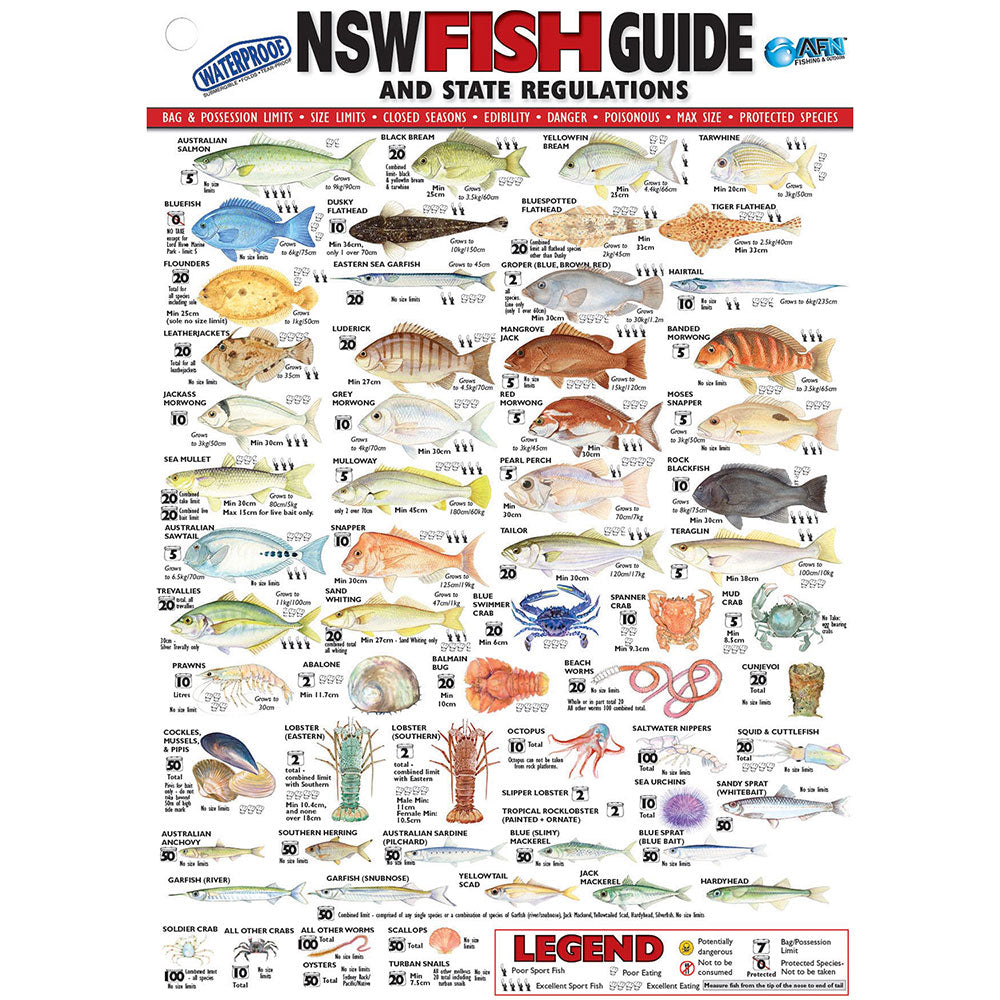 Carta d'identità di pesce in vinile