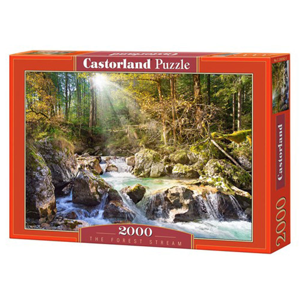  Castorland Classic Puzzle 2000 Teile