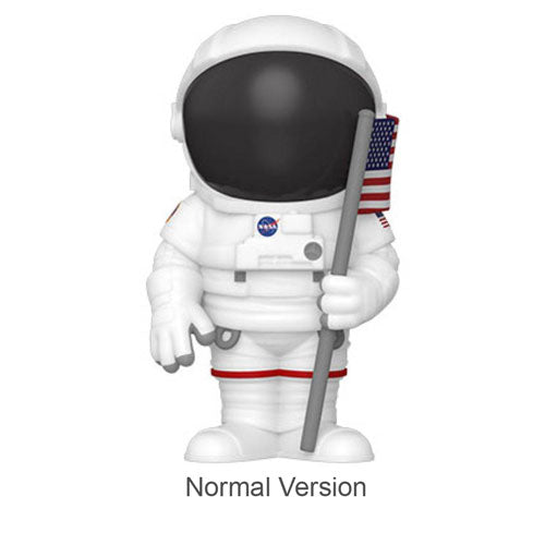 NASA Astronaut Vinyl Soda Chase Ships 1 in 6