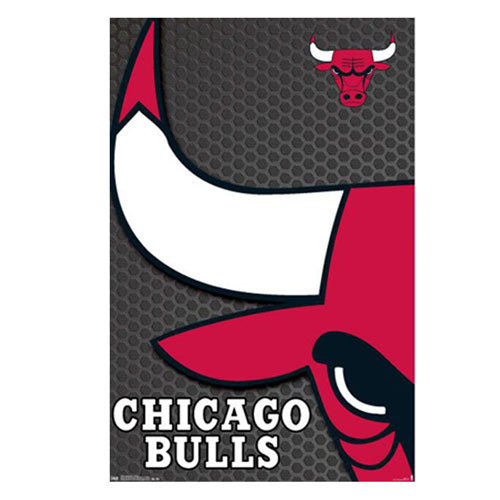 NBA Chicago Bulls Poster