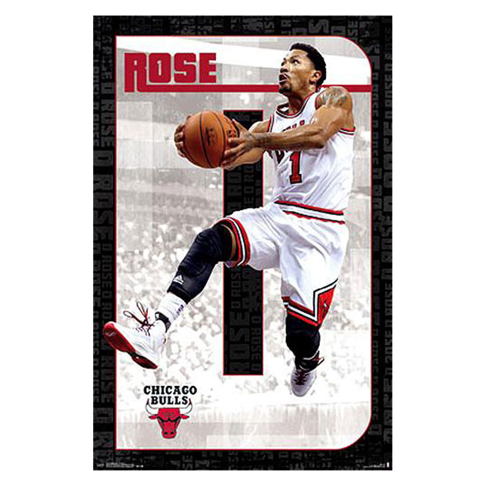 NBA Chicago Bulls Poster
