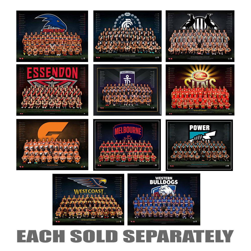Affiche de l'équipe AFL 2017