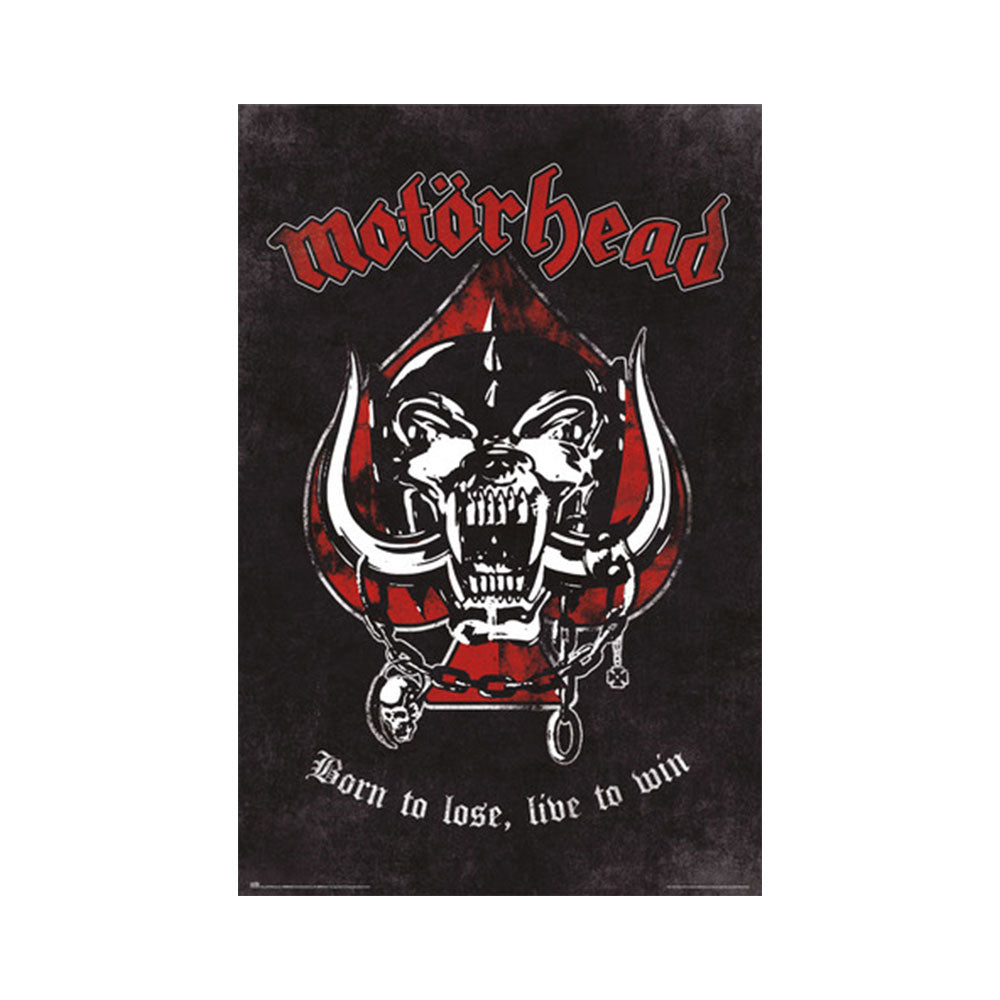 Motorhead Born to Lose Poster (61x91.5cm)