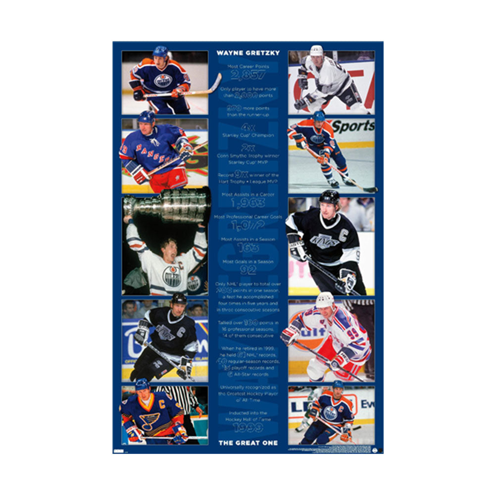 Wayne Gretzky Stats Poster (61x91.5cm)