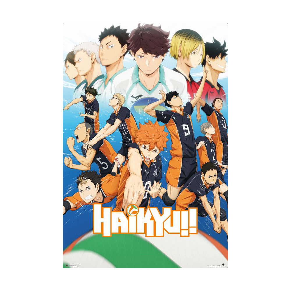 Haikyu!! Karasuno Team Poster (61x91.5cm)