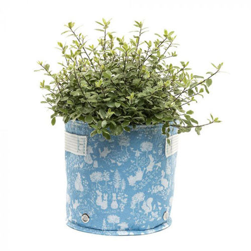 Beatrix Potter Fabric Eco-Pot (Blue)