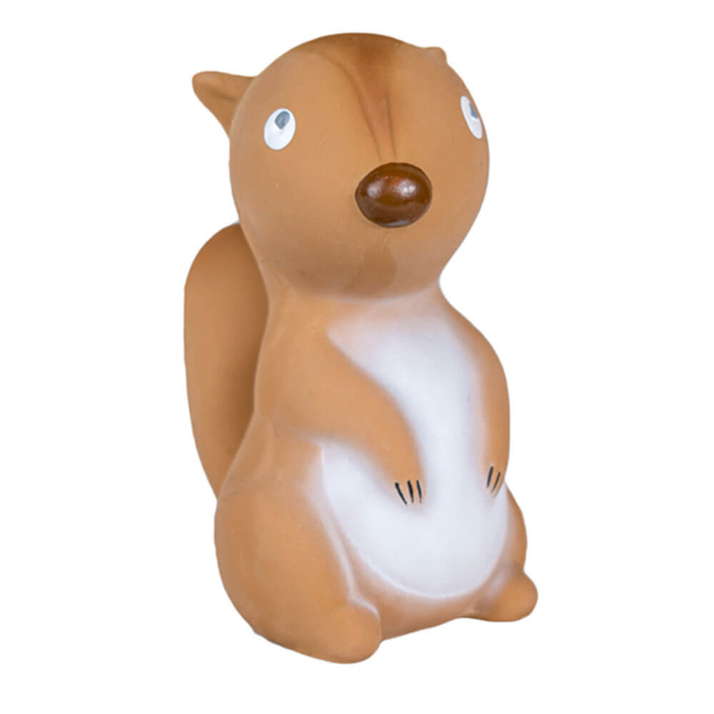 Tikiri Rubber Arctic Animal Teether/Bath Toy