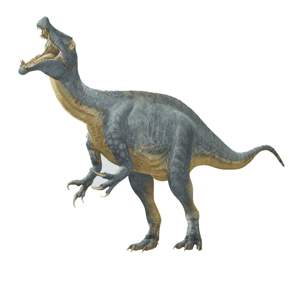 Holotype Mesozoic Europe Board Game