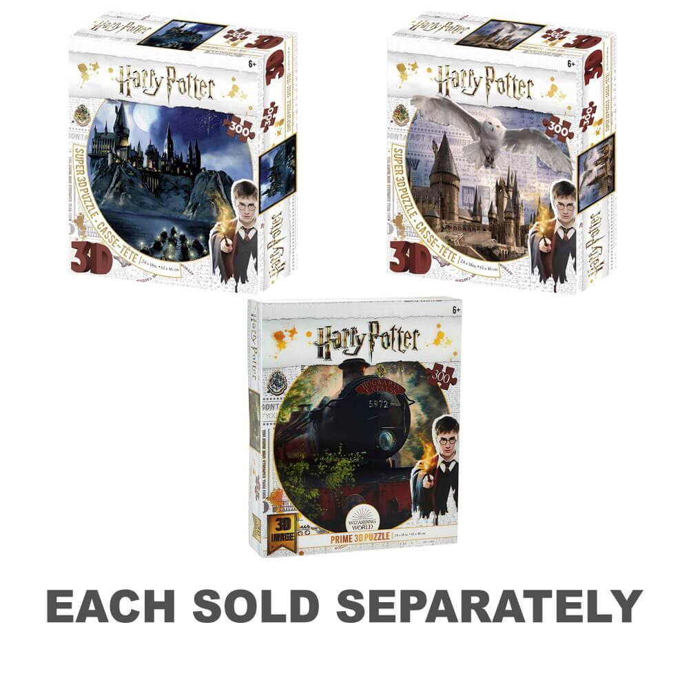 Harry Potter 3D 300pc Puzzle