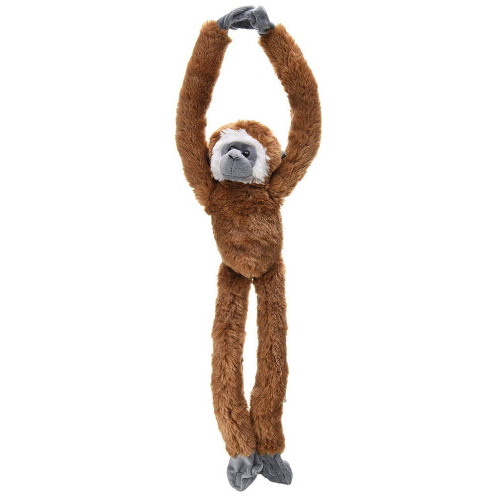 Macaco da República Selvagem pendurando brinquedo macio de pelúcia