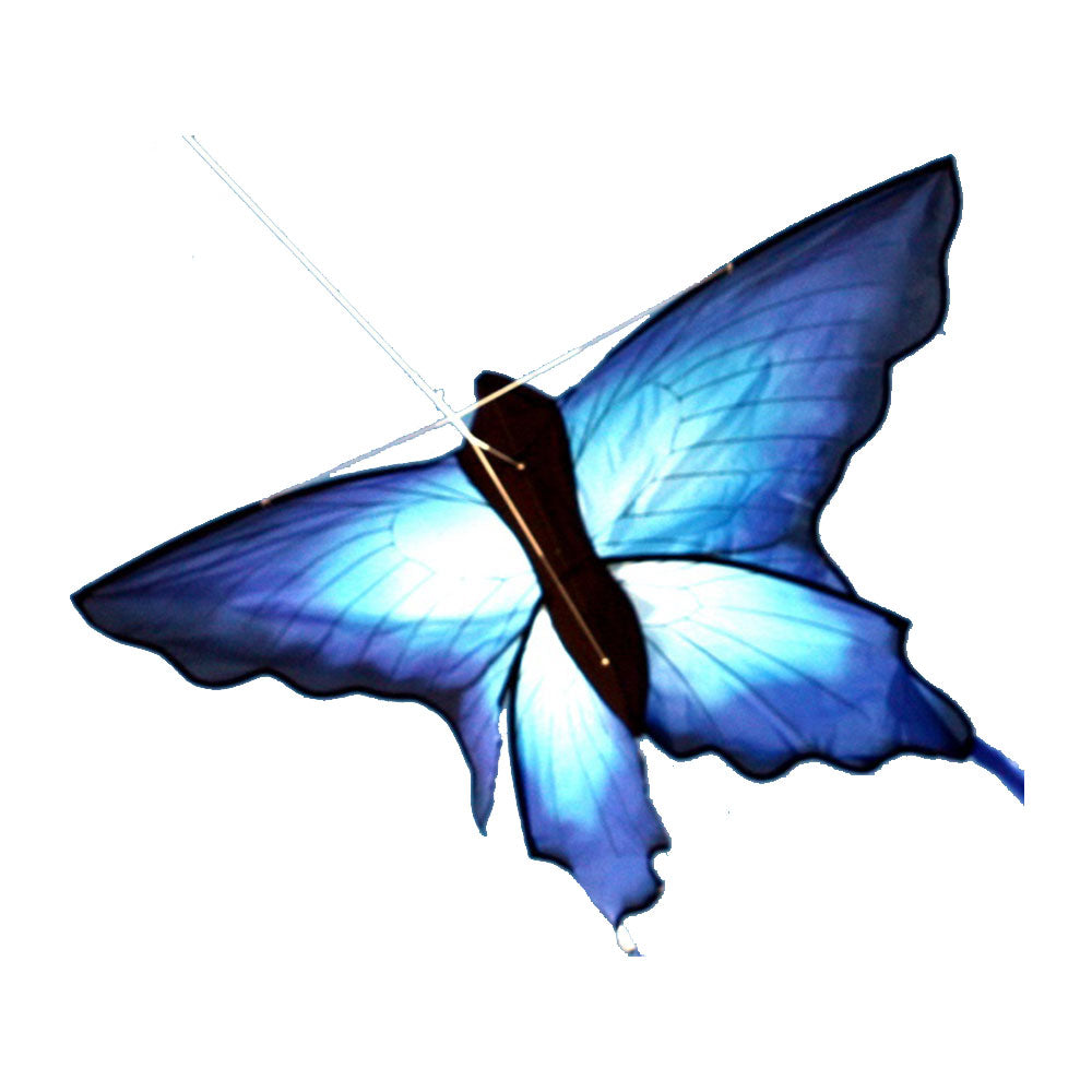 Windspeed Single String Ulysses Butterfly Kite (Blue)