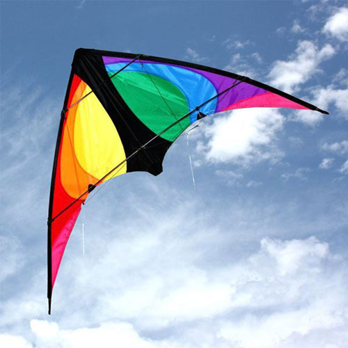 Windspeed Double Control Stinger Stunt Kite