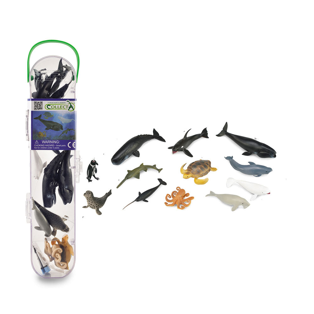 CollectA Marine Figures in Tube Gift Set (Pack of 12)