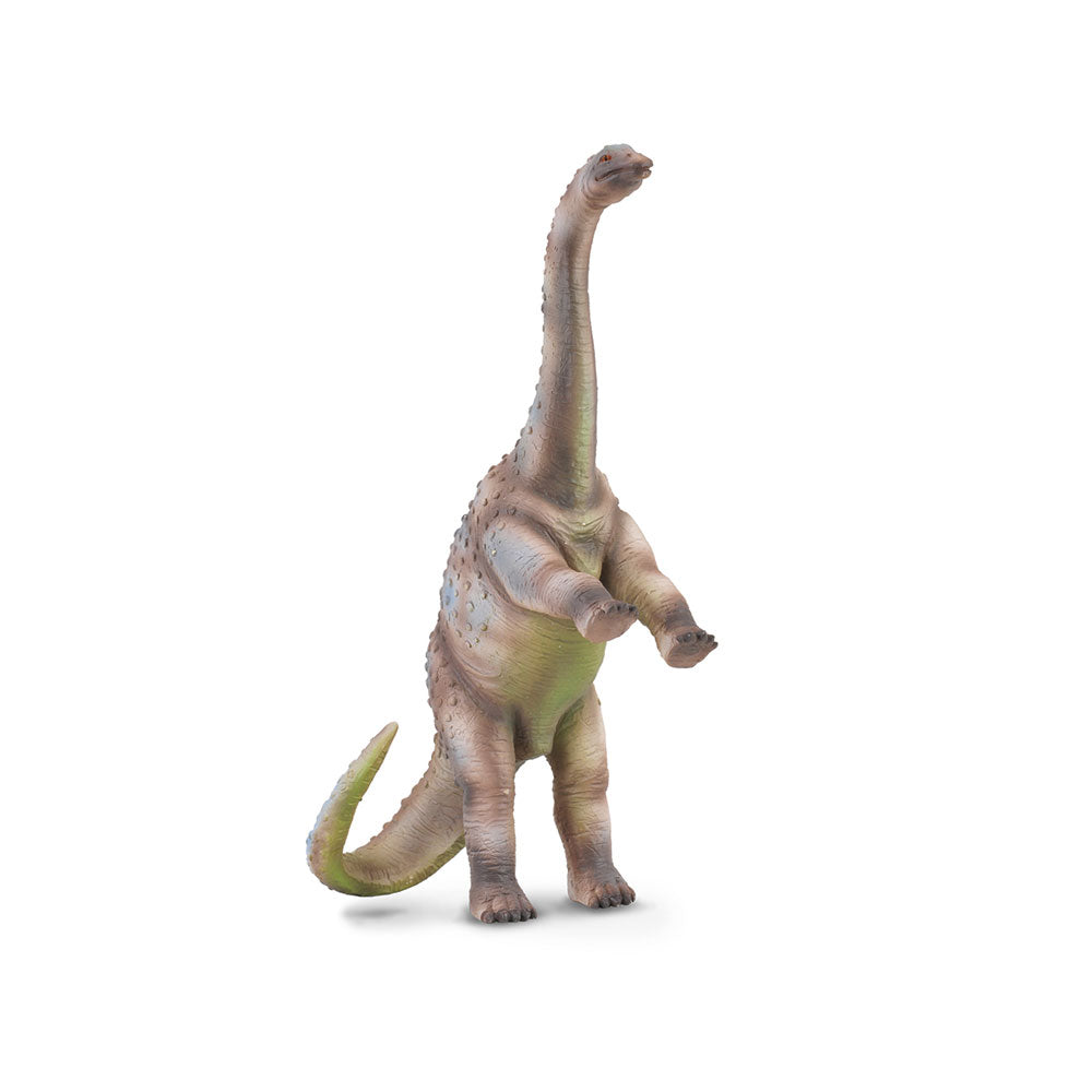 CollectA Rhoetosaurus Dinosaur Figure (Large)