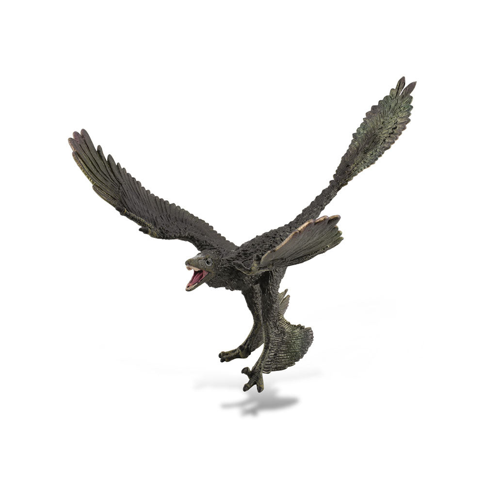 CollectA Microraptor Figure (Extra Large)